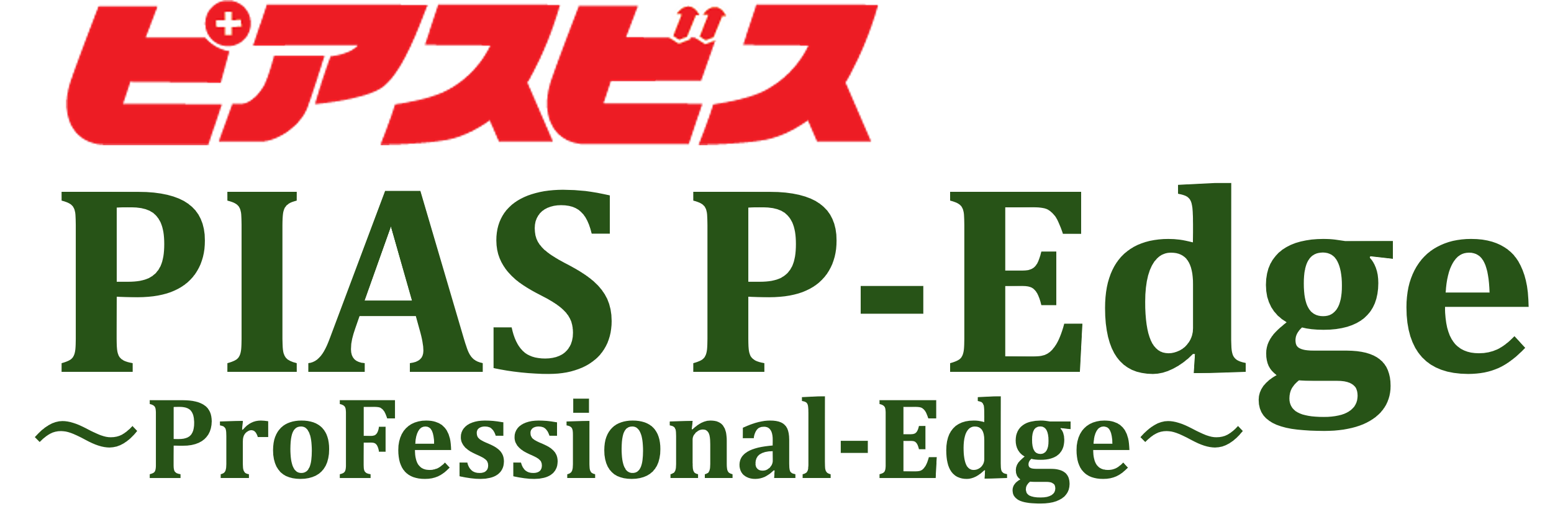 p-edge カタログPDF